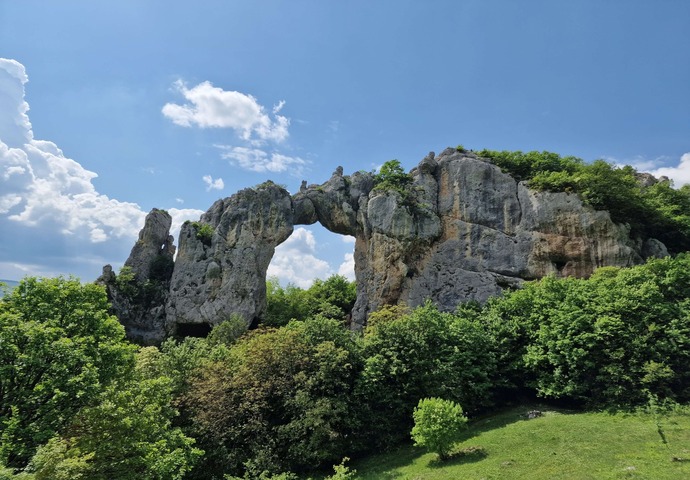 Featured Image